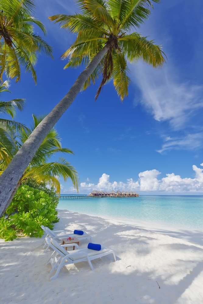 Angaga Island Resort & Spa - View 105