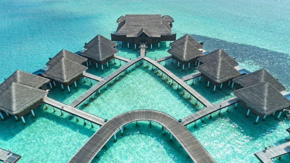 Taj Exotica Resort And Spa - View 147