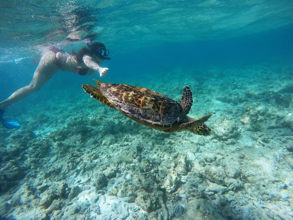 Adroit Beach Inn - View 42