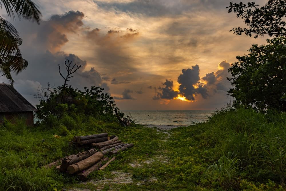 Mi Lugar Retreat and Spa - View 46