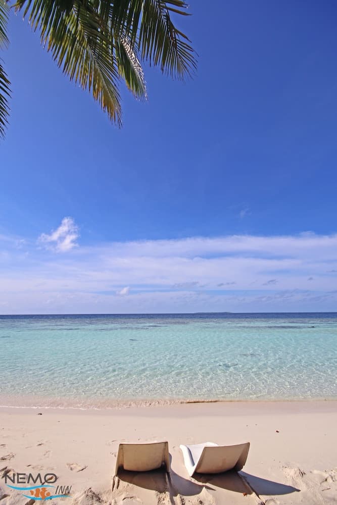 Nemo Inn - View 54