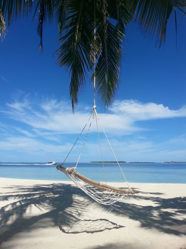 LVIS blancura - View 4