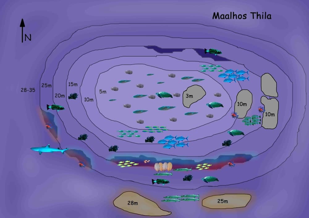 Feridhoo Inn - View 29