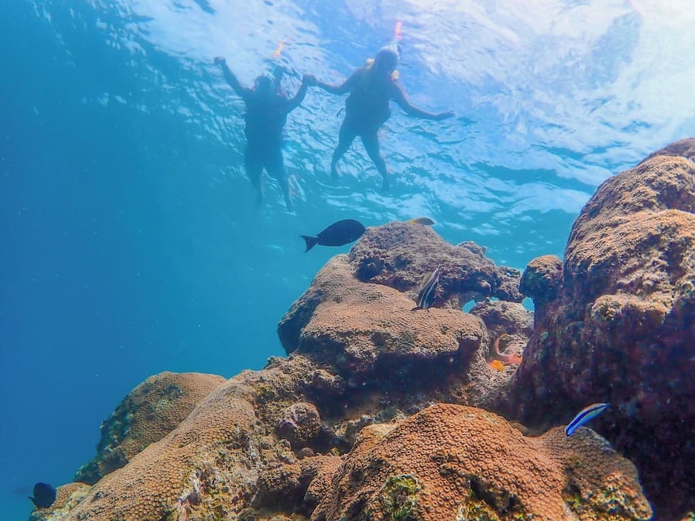 Ganduvaru Villa - View 88