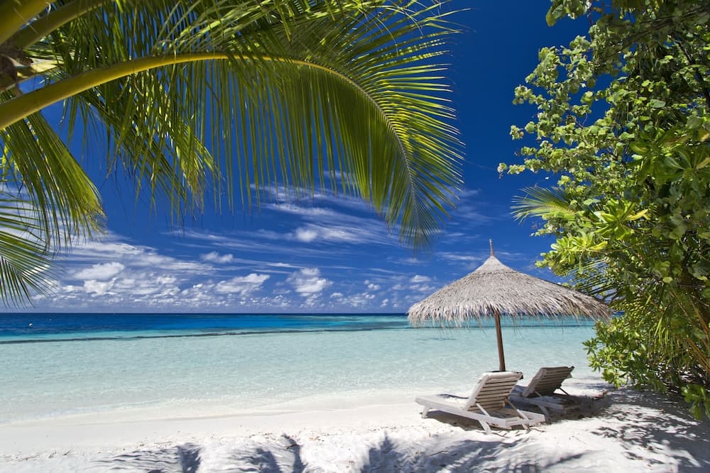 Gangehi Island Resort - View 43