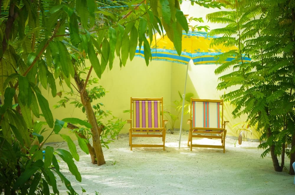 Whale Shark Inn Maldives - View 19