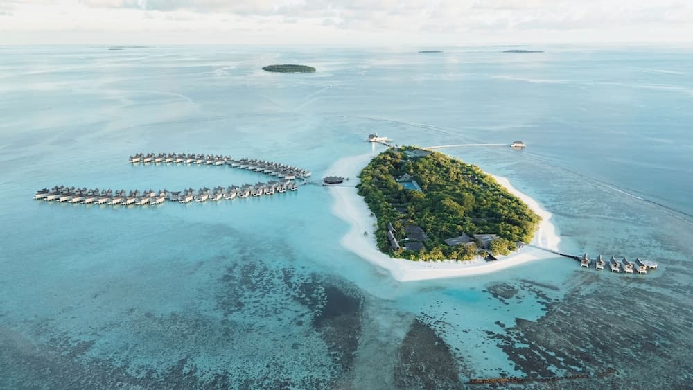 Kuredhivaru Resort & Spa Maldives by Accor - View 139