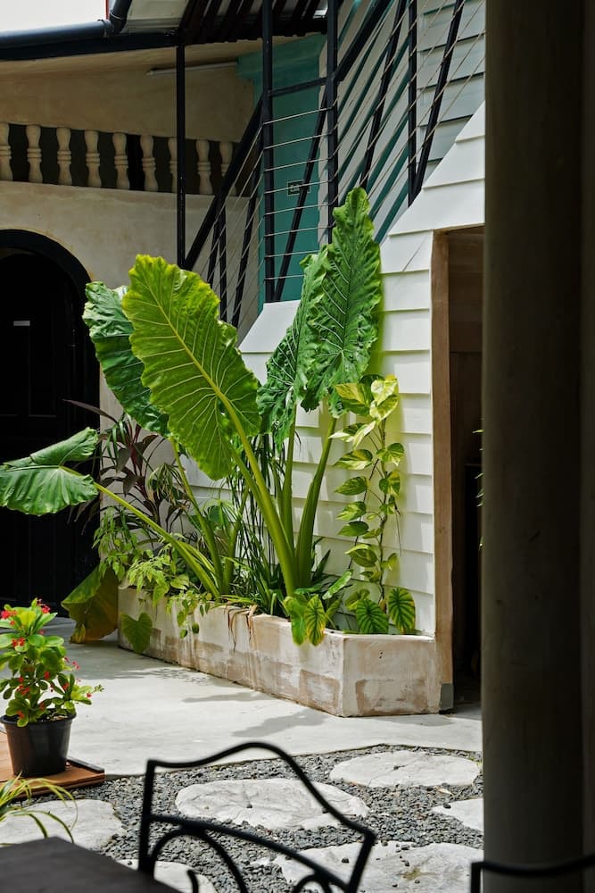 Zinnia Villa - View 58