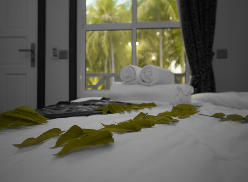 Ostrov Beach - View 5