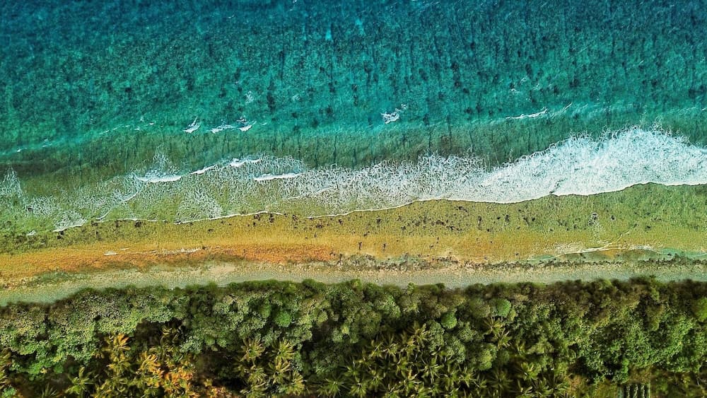 Global Residence - View 39