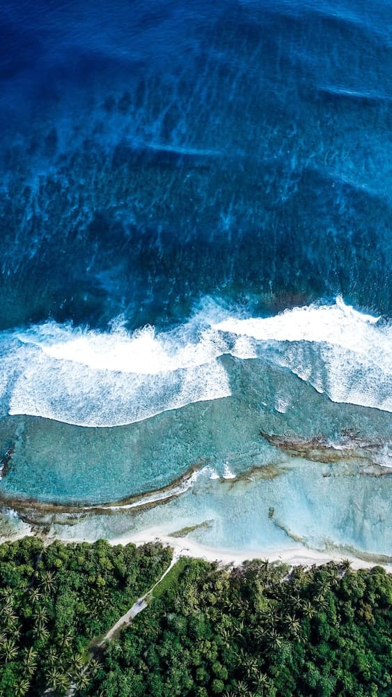 Hide Inn Blue - View 40