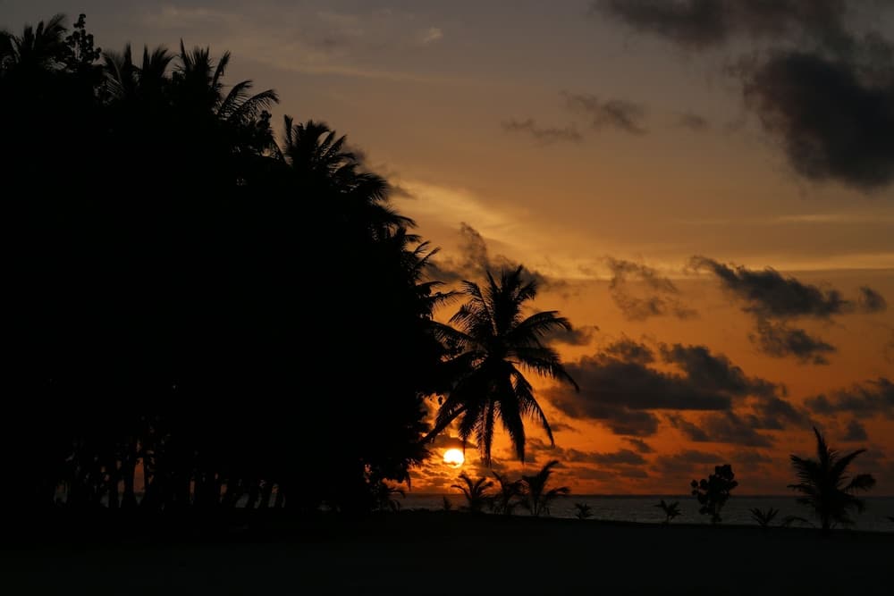 Mathiveri Lodge - View 40