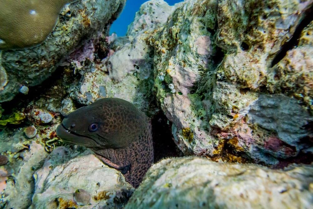 Detour Beach View - View 35