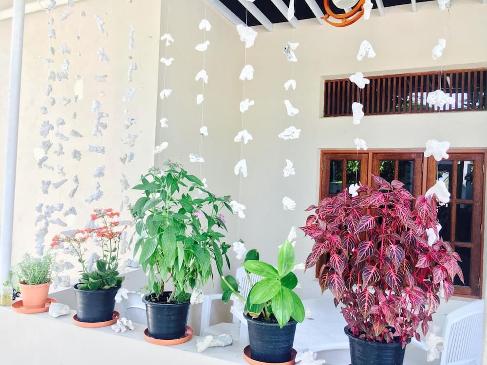 Midsummer Thulusdhoo - View 21