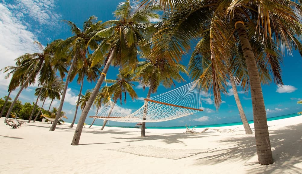 Hondaafushi Island Resort - View 31