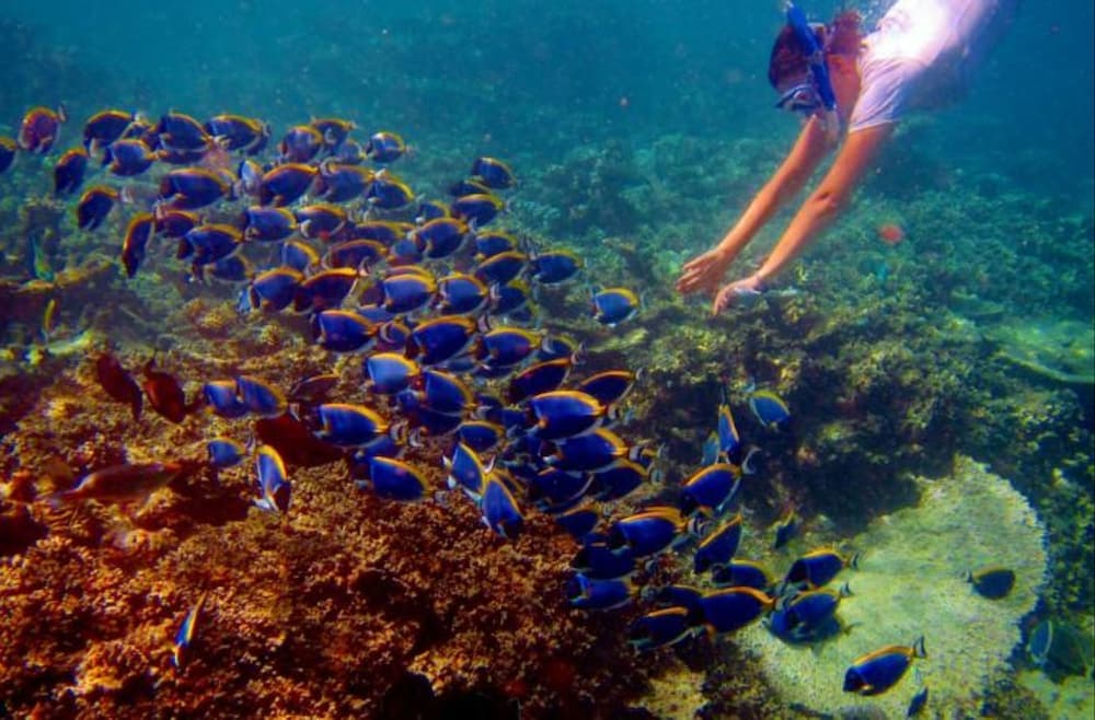 Hotel Octave - View 20