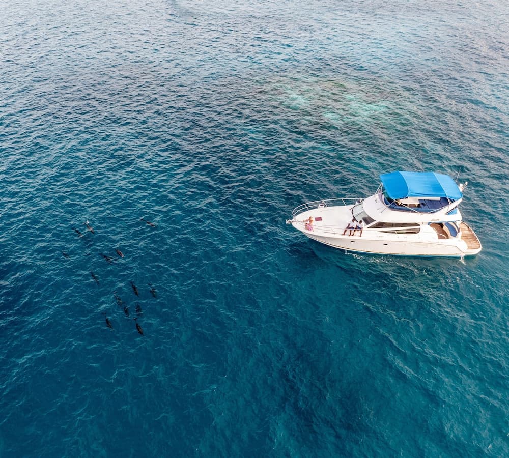 Radisson Blu Resort Maldives - View 198
