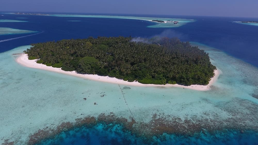 Biyadhoo Island Resort - View 59