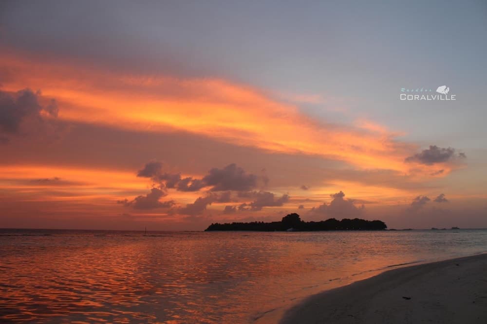 Rasdhoo Coralville - View 51