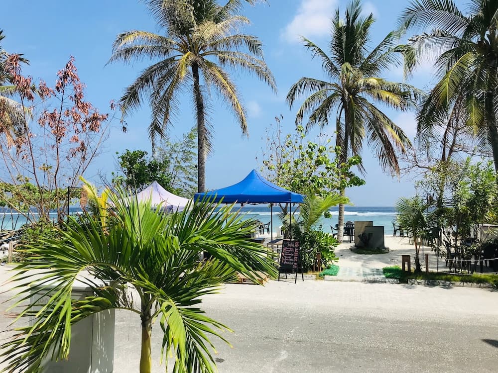 Airport Comfort Inn Premium - View 16