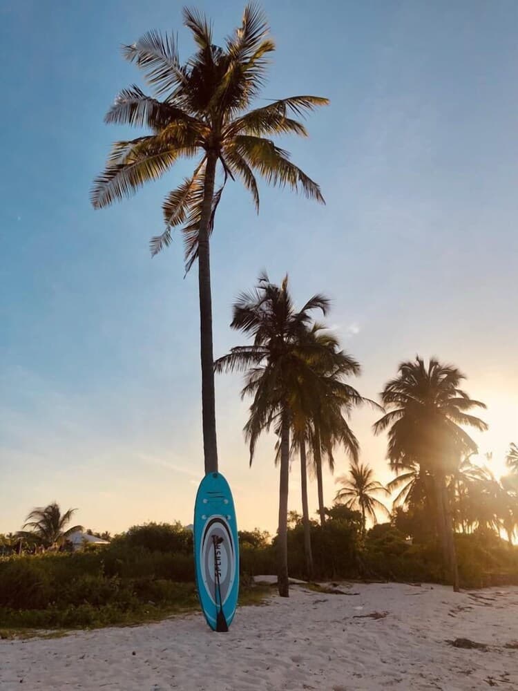 Annama Lodge And Dive - View 59