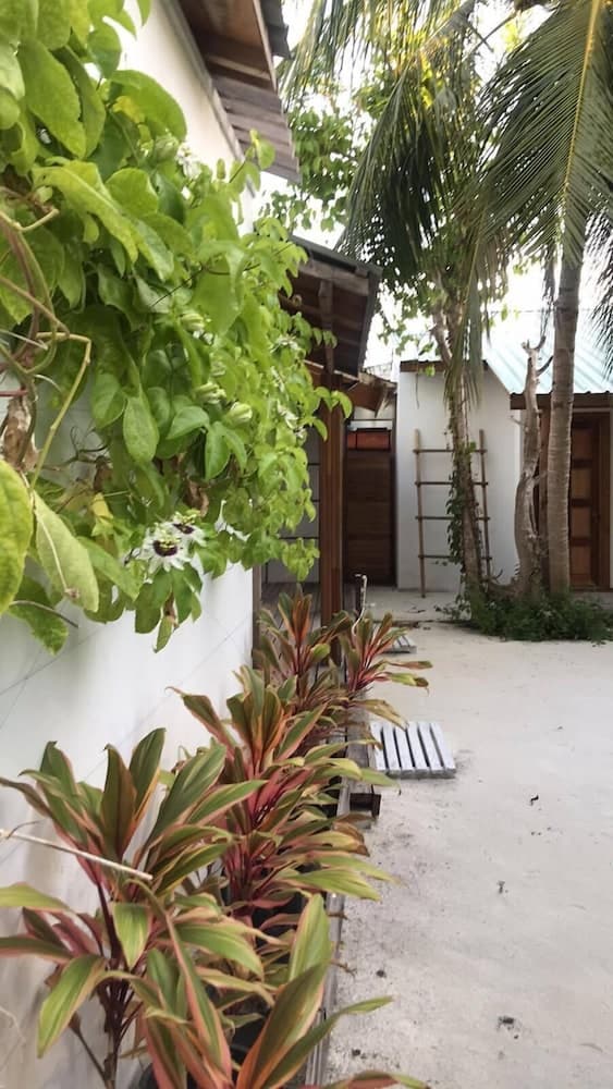 Eden BAANI Lodge - View 57