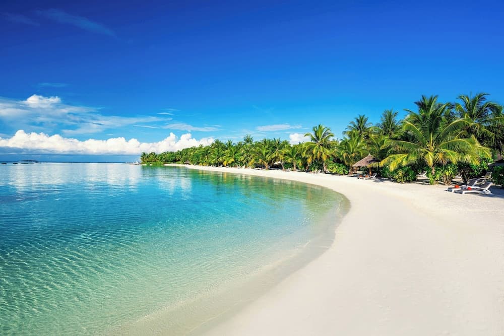 Sheraton Maldives Full Moon Resort & Spa - View 208