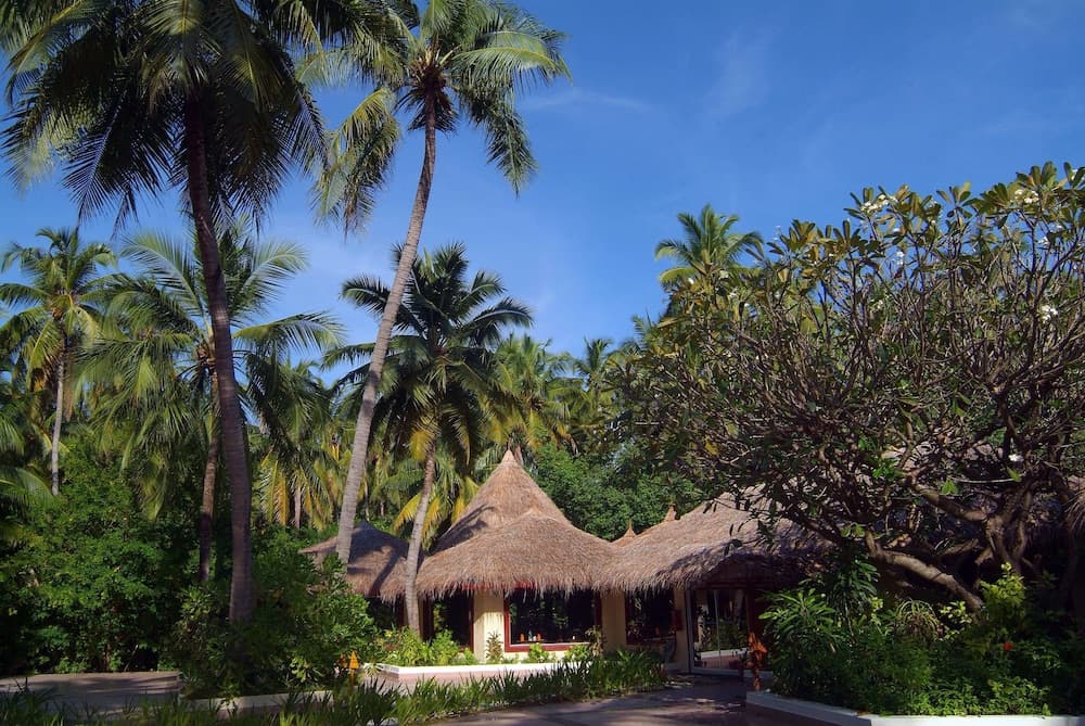 Biyadhoo Island Resort - View 15