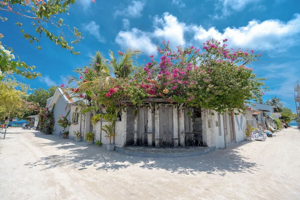 Brickwood Shoreline - View 9