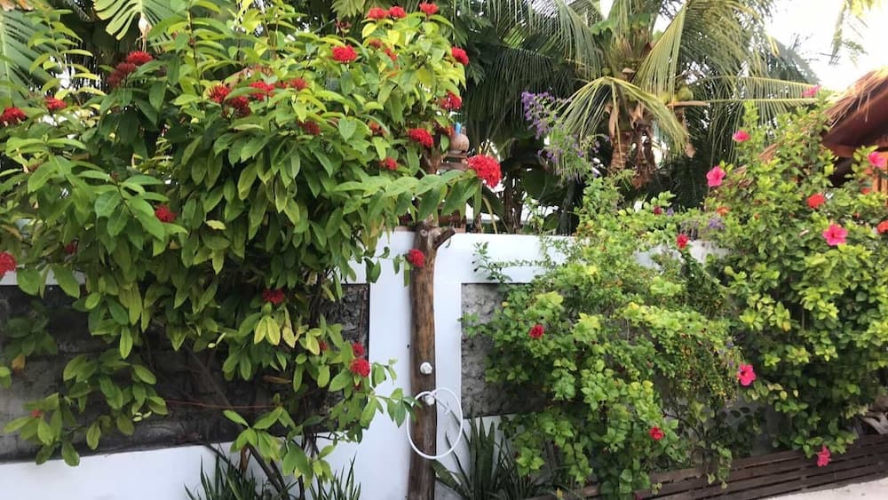 Eden BAANI Lodge - View 19