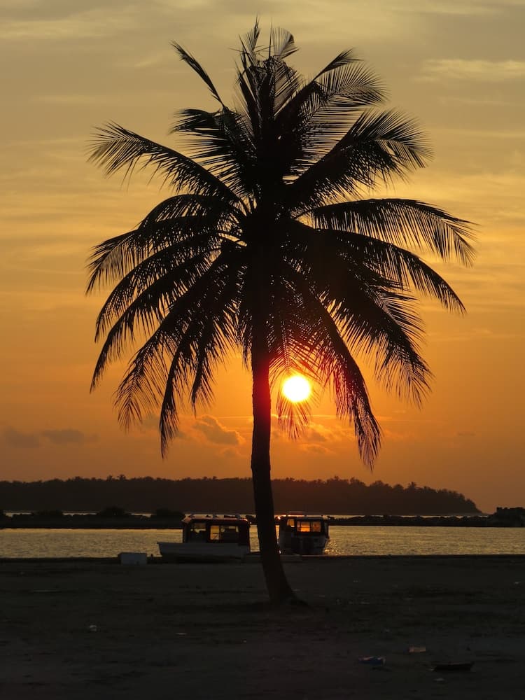 Smera Grand - View 17