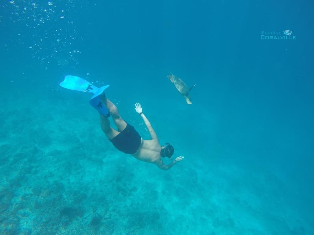 Rasdhoo Coralville - View 41