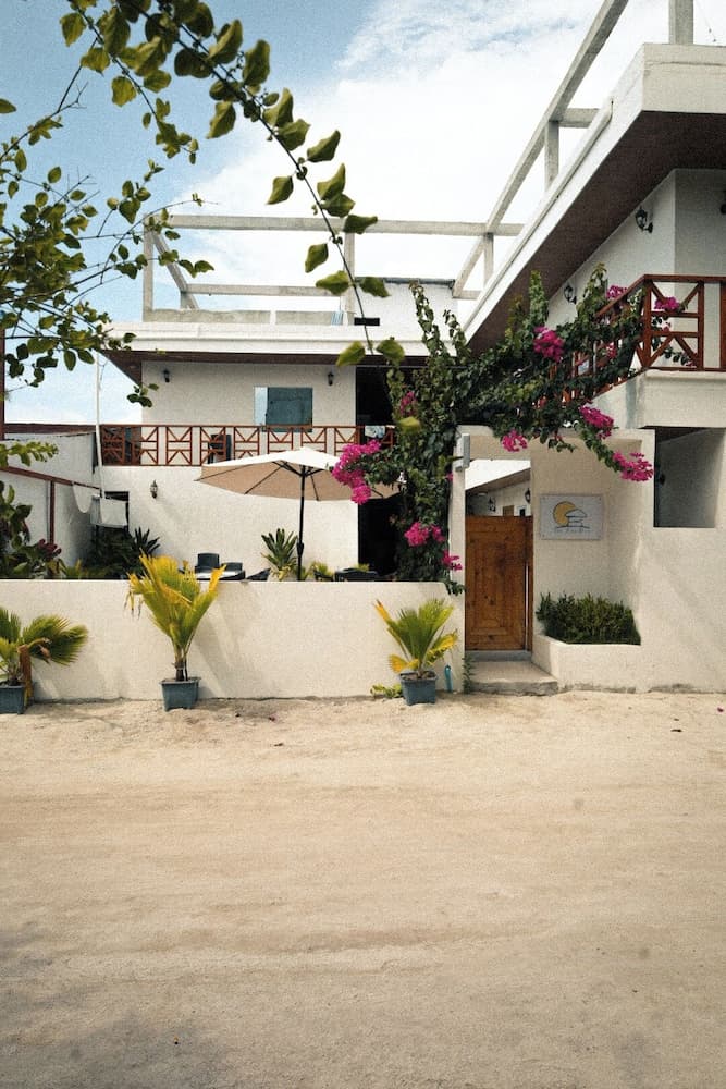 Bibee Surf - View 1