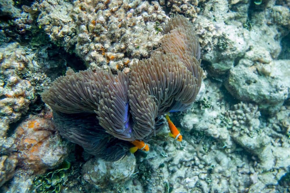 Detour Beach View - View 45