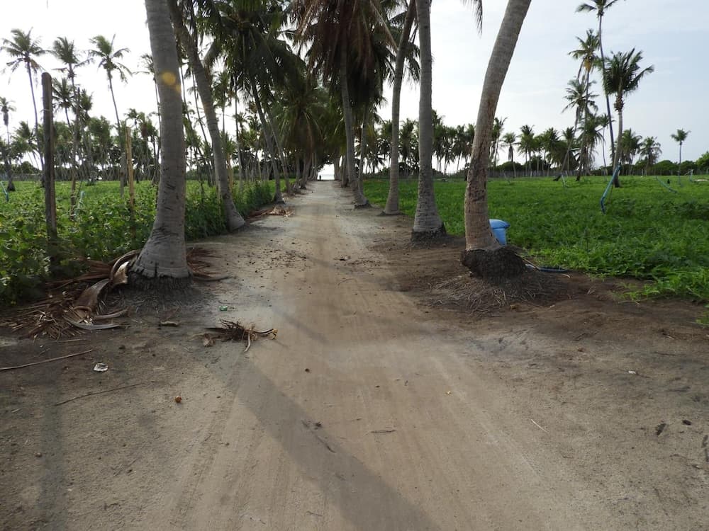 Karaa Village - View 39