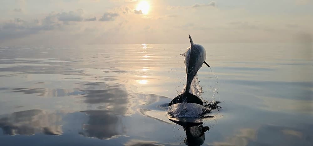 Three Hearts Guesthouse - View 58