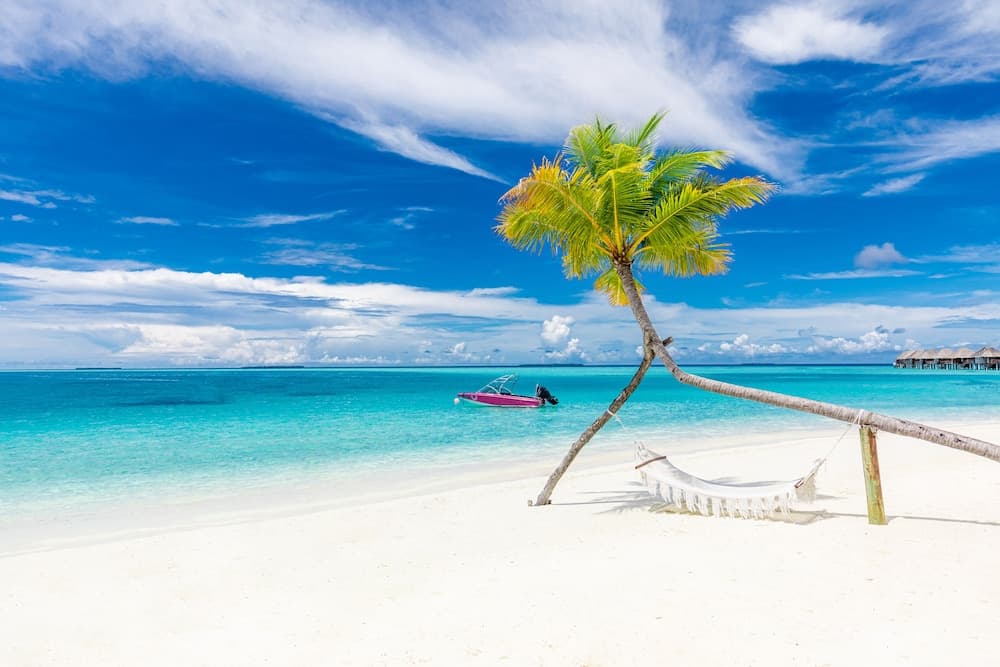 Sun Siyam Vilu Reef - All Inclusive - View 33