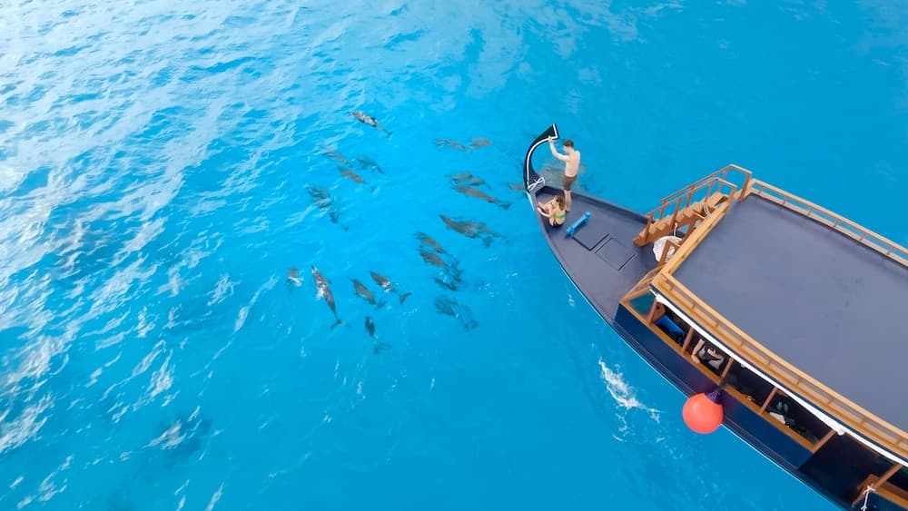 Madifushi Private Island - View 34