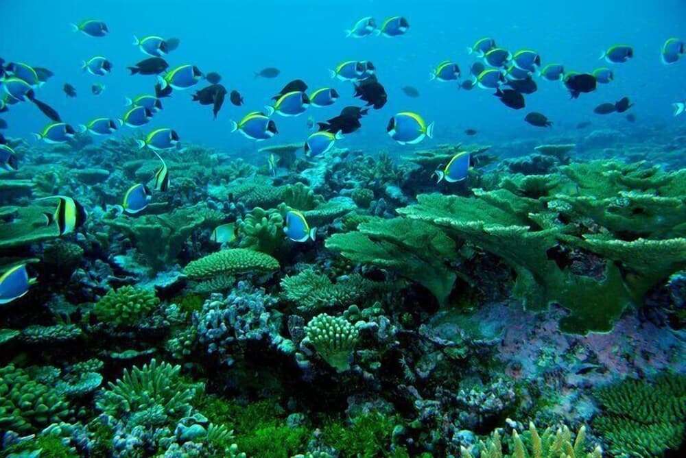 Rivethi Beach hotel - View 13