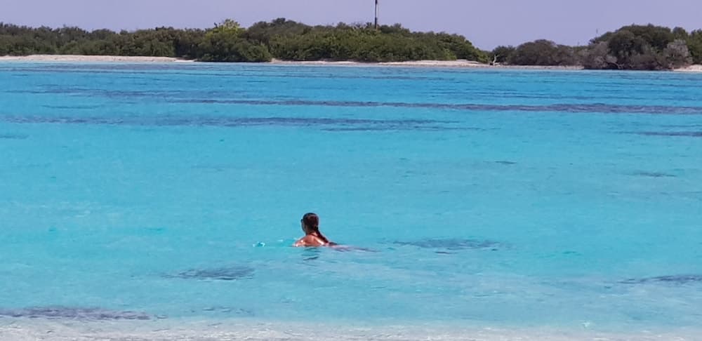 Equa Reef Maldives - View 74