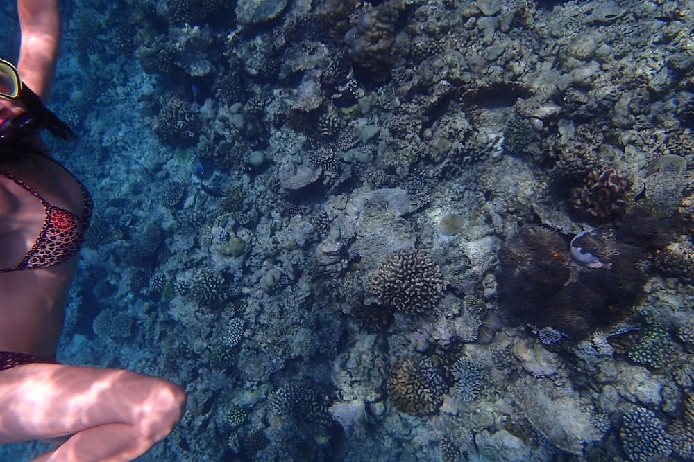 Mathiveri Inn - View 21