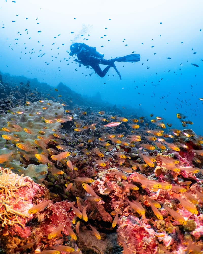 Kuredhivaru Resort & Spa Maldives - View 89