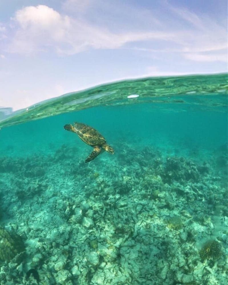 One The Island - View 26