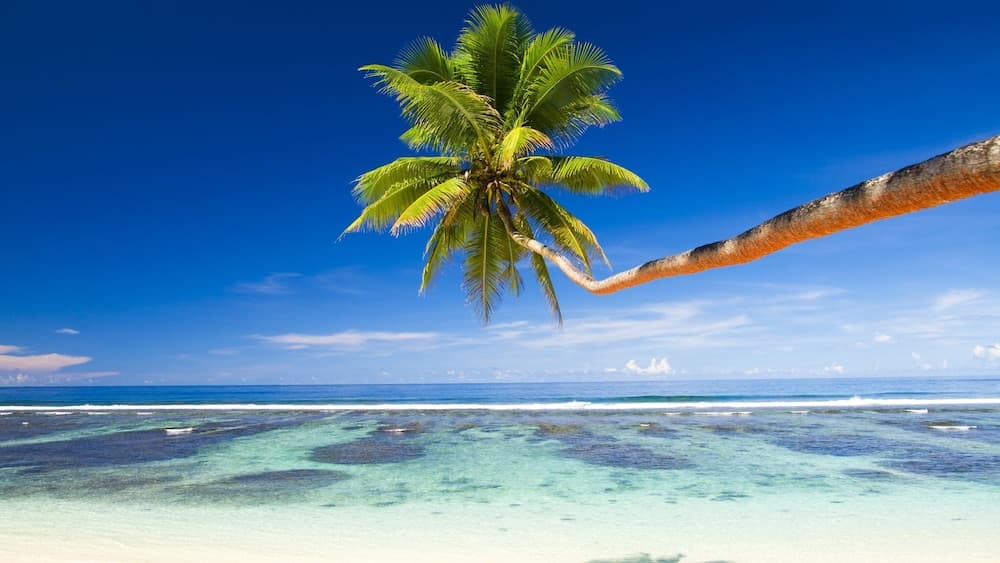 Equa Reef Maldives - View 76