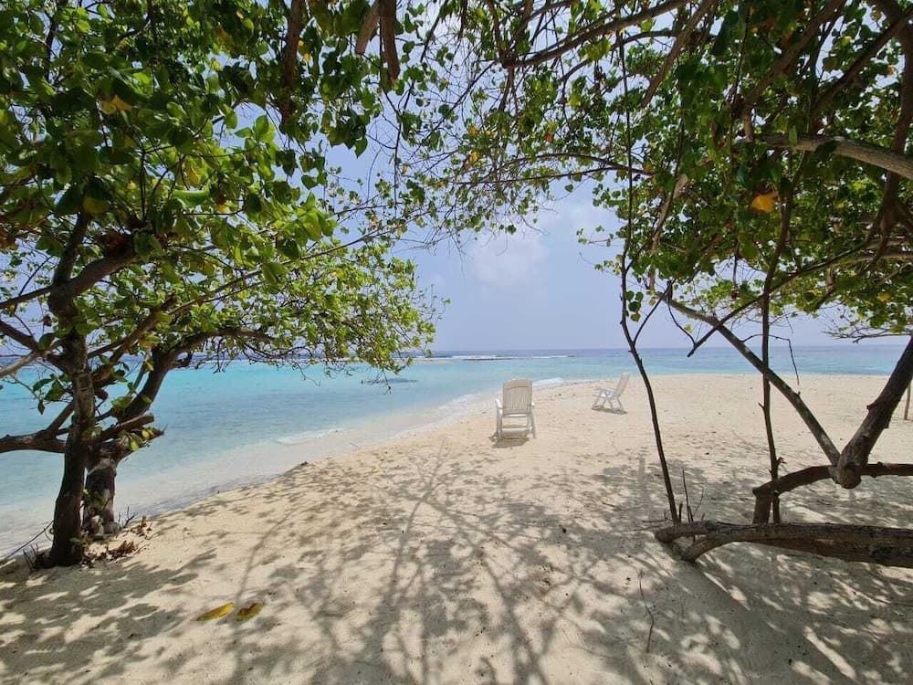 Liberty Guest House Maldives - View 214