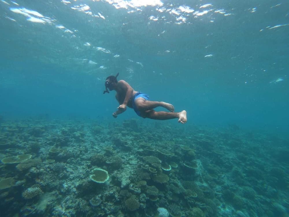 ilaa Beach Maldives - View 48