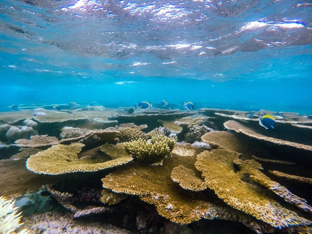 Hide Inn Blue - View 22