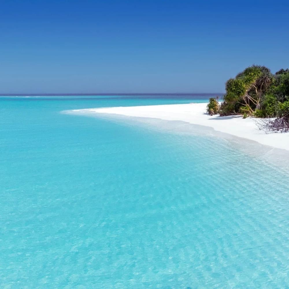 Blue Coral Vashafaru - View 25