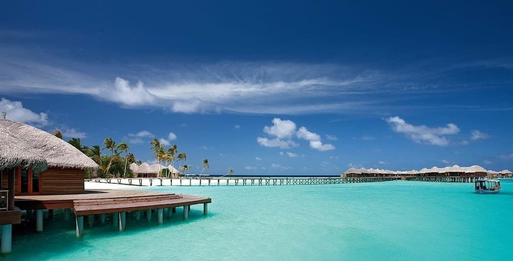 Constance Halaveli - View 143