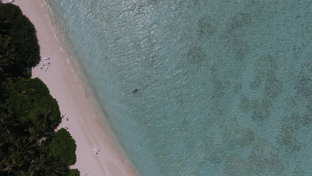 Biyadhoo Island Resort - View 13